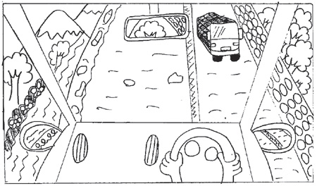図